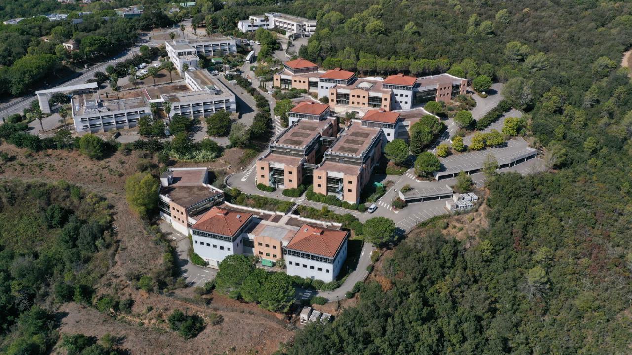 Bureau Biot 1656m² Location bureau Biot Alpes-Maritimes OLBUR2207722 4